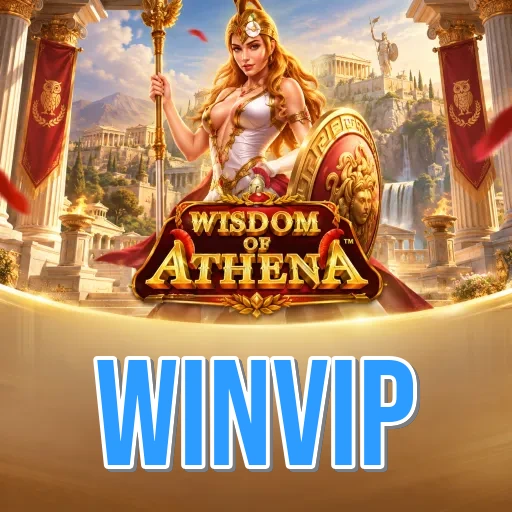 Screenshot 3 - winvip Settings