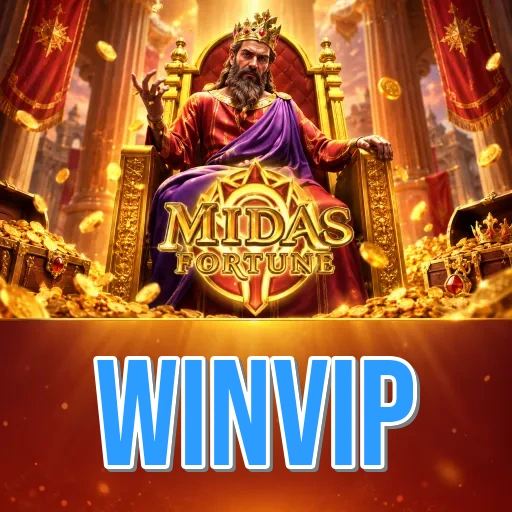 Screenshot 3 - winvip Settings