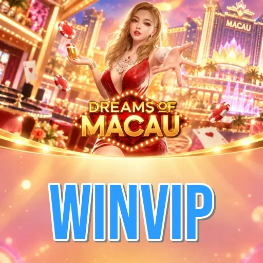 Screenshot 4 - winvip Dark Mode