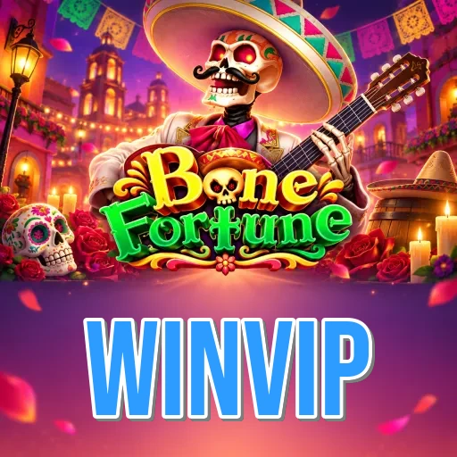 Screenshot 4 - winvip Dark Mode