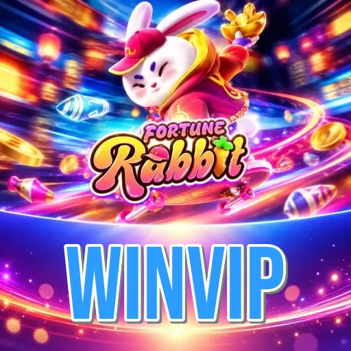Screenshot 3 - winvip Settings