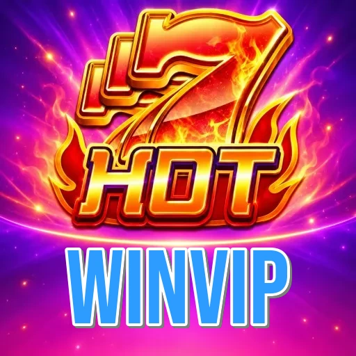 Screenshot 3 - winvip Settings